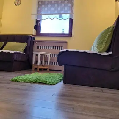 a living room with a couch and a green rug at Mina in Kopaonik