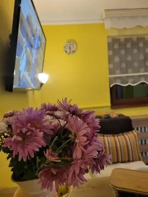 a vase filled with purple flowers sitting on a table at Mina in Kopaonik