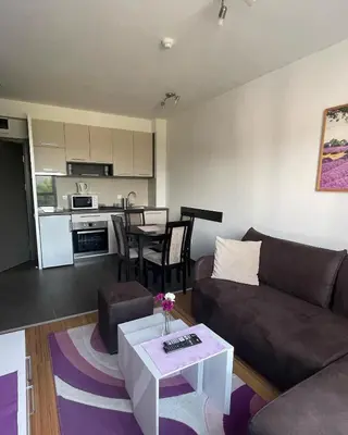 a living room with a couch and a table at Kraljevi Čardaci apartman Lux 10 in Kopaonik