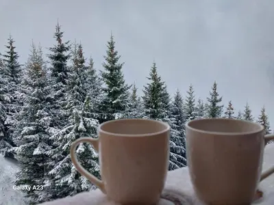 two cups sitting on a window sill with snow covered trees at Kovacevic Apartmani in Raška