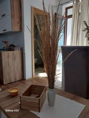 a vase with some dried grass in a room at Kovacevic Apartmani in Raška