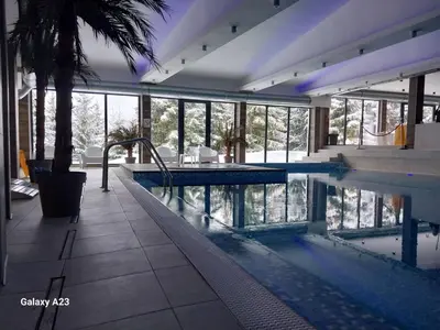 a house with a swimming pool with a palm tree at Kovacevic Apartmani in Raška