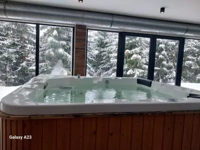 a bath tub in a room with a snow covered tree at Kovacevic Apartmani in Raška