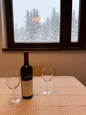 a bottle of wine and two wine glasses on a table at Juli Kop in Kopaonik