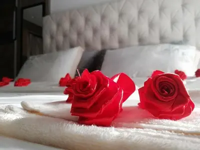 two red roses on a bed with white towels at Pavlovic Luxury Spa in Vrnjačka Banja