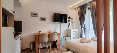 a bedroom with a bed and a desk and a tv at Apartman Aska - Residence Hill in Kopaonik