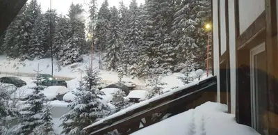a view of a snow covered yard with trees at Apartman Sivi Vuk Kopaonik in Kopaonik