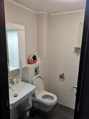 a bathroom with a white toilet and a sink at LILLY apartman in Vrnjačka Banja