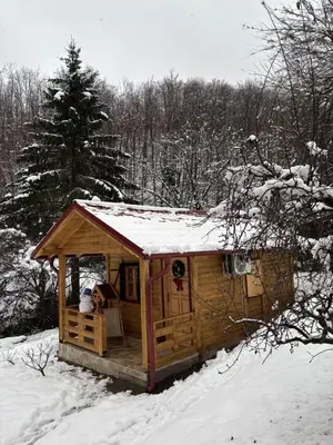 a wooden cabin with snow on top of it at Brvnara Novičić in Vrnjačka Banja