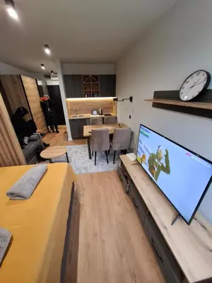 a living room with a large flat screen tv at TomaR-Gondola in Kopaonik