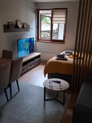 a living room with two beds and a flat screen tv at TomaR-Gondola in Kopaonik