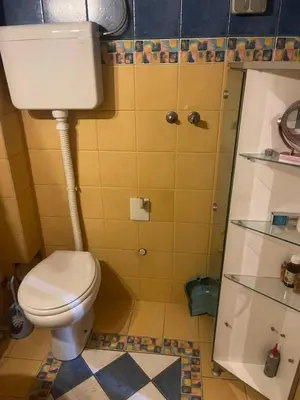 a bathroom with a white toilet in a room at Sindjelicev trg apartment in Niš