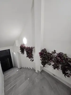 a room with two plants on the wall at Doksim Luxury Apartments 201 in Pirot