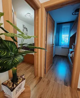 a plant sitting on a table in a hallway at Apartman MPS Kopaonik-Free Spa in Kopaonik