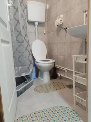 a bathroom with a toilet and a sink at Apartman BREG in Pirot