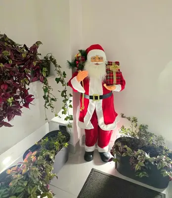 a santa claus standing in a room with potted plants at Doksim Luxury Apartments 202 in Pirot