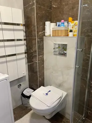 a bathroom with a toilet and a shower at Apartment Luka Lux in Vrnjačka Banja