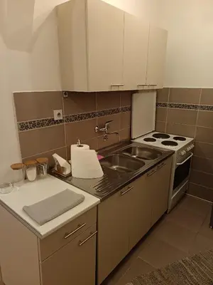 a kitchen with a sink and a stove at Niš,centar udobnosti in Niš