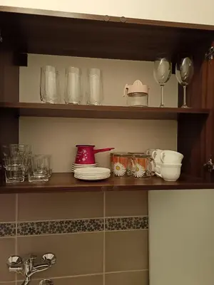 a kitchen shelf with glasses and dishes on it at Niš,centar udobnosti in Niš