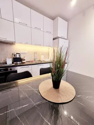 a kitchen with a table with a potted plant on it at Pirotski amanet in Pirot