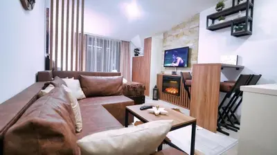 a living room with a couch and a fireplace at Apartmani Aki in Kopaonik