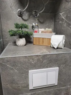 a bathroom with a sink and a plant on a counter at Cozy Kop, Free Parking, SPA for additional price in Kopaonik
