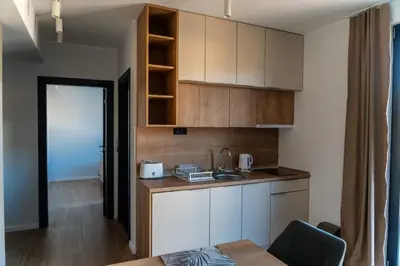 a kitchen with a sink and a counter top at Cozy Kop, Free Parking, SPA for additional price in Kopaonik