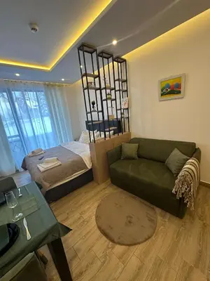 a living room with a couch and a bed at Apartman B64 Residence Hill Kopaonik in Kopaonik