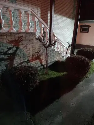 Gallery image of Apartman Milosavljević in Železnička Stanica Ćele Kula