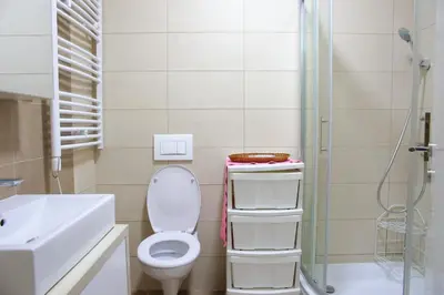 a bathroom with a toilet and a sink and a shower at Stan na dan 2 in Paraćin