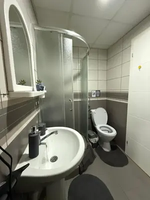 a bathroom with a sink and a toilet at Apartman Filip in Kruševac