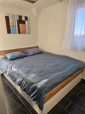 a large bed in a room with a window at Tara Apartments Kopaonik in Kopaonik