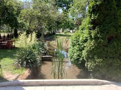 a garden with a pond and some plants and trees at Studio Ivana 3 in Soko Banja