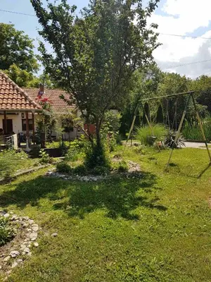 a yard with a swing set and a tree at Studio Ivana 3 in Soko Banja