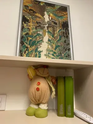 a stuffed animal sits on a shelf next to books at Kopaonik Apartman Nina in Kopaonik