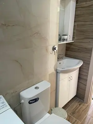 a bathroom with a white toilet and a sink at Apartman Vuk, Crni Vrh - Stara planina in Crni Vrh