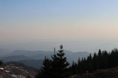 a tree on a hill with mountains in the background at Mountain Paradise Ski In & Out - Vila Golija Kopaonik in Kopaonik