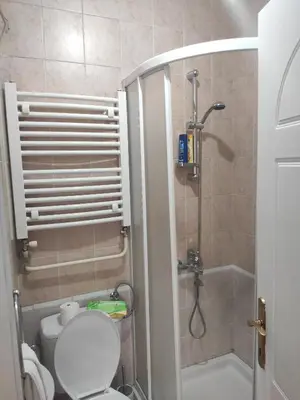 a small bathroom with a toilet and a shower at Donin apartman in Niš