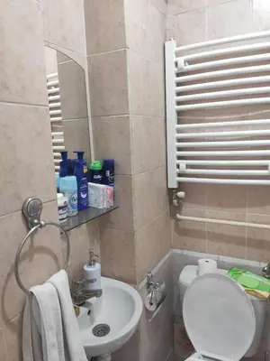 a small bathroom with a toilet and a sink at Donin apartman in Niš