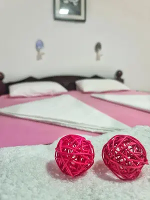 two beds with red yarn on top of them at Vila Aleksandra 2 Studio 3 in Soko Banja