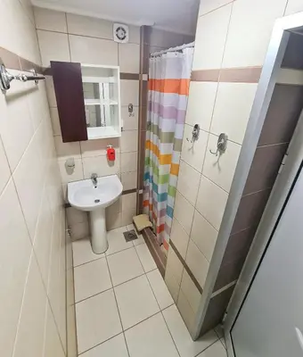 a small bathroom with a sink and a shower at Vila Aleksandra 2 Studio 3 in Soko Banja