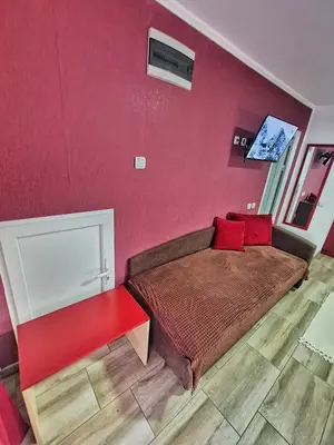 a bedroom with a bed with a red wall at Vila Aleksandra 2 Studio 3 in Soko Banja