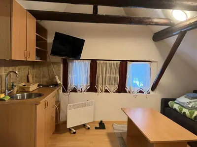 a kitchen with a sink and two windows in a room at Centar kop in Kopaonik