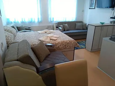 a living room with a bed and a couch at Smeštaj Vesna in Soko Banja