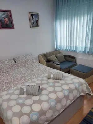 a bedroom with a large bed and a couch at Smeštaj Vesna in Soko Banja