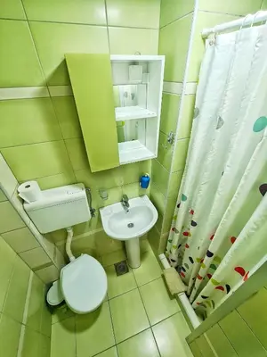 a small bathroom with a toilet and a sink at Vila Aleksandra 2 Studio 8 in Soko Banja