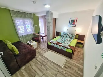 a living room with a bed and a couch at Vila Aleksandra 2 Studio 8 in Soko Banja