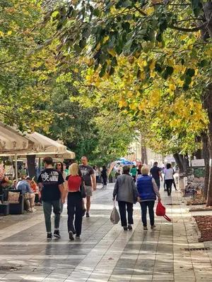 a group of people walking down a street at Vila Aleksandra 2 Studio 8 in Soko Banja