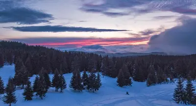 a sunset over a snow covered forest with trees at Apartment Treska Kop in Kopaonik