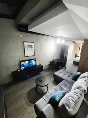 a living room with a couch and a tv at Fine apartments Nis in Niš